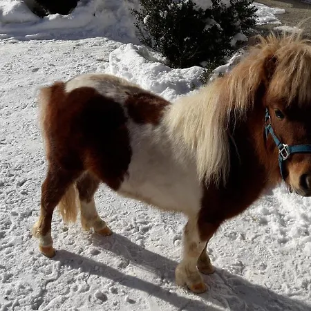 Schlickenhof 아파트 Hintergöriach