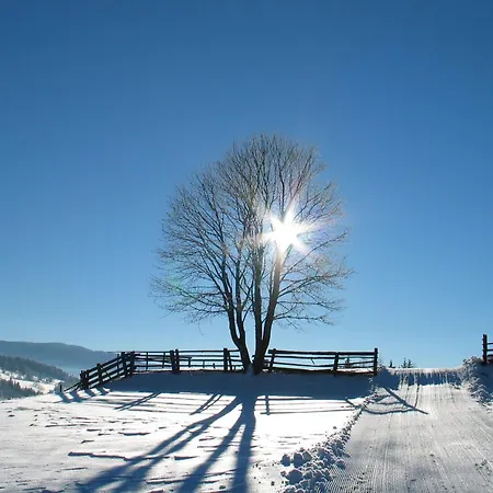 Appartement Schlickenhof *