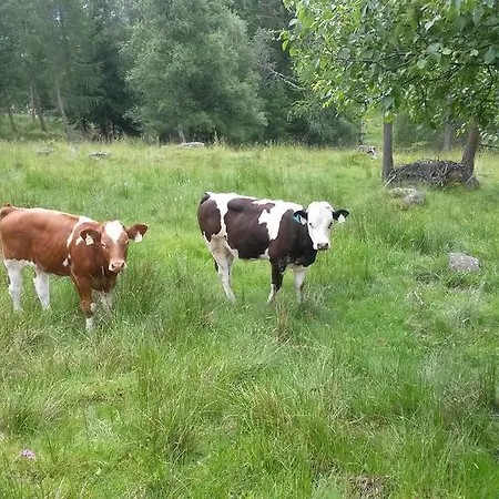 Apartment Schlickenhof